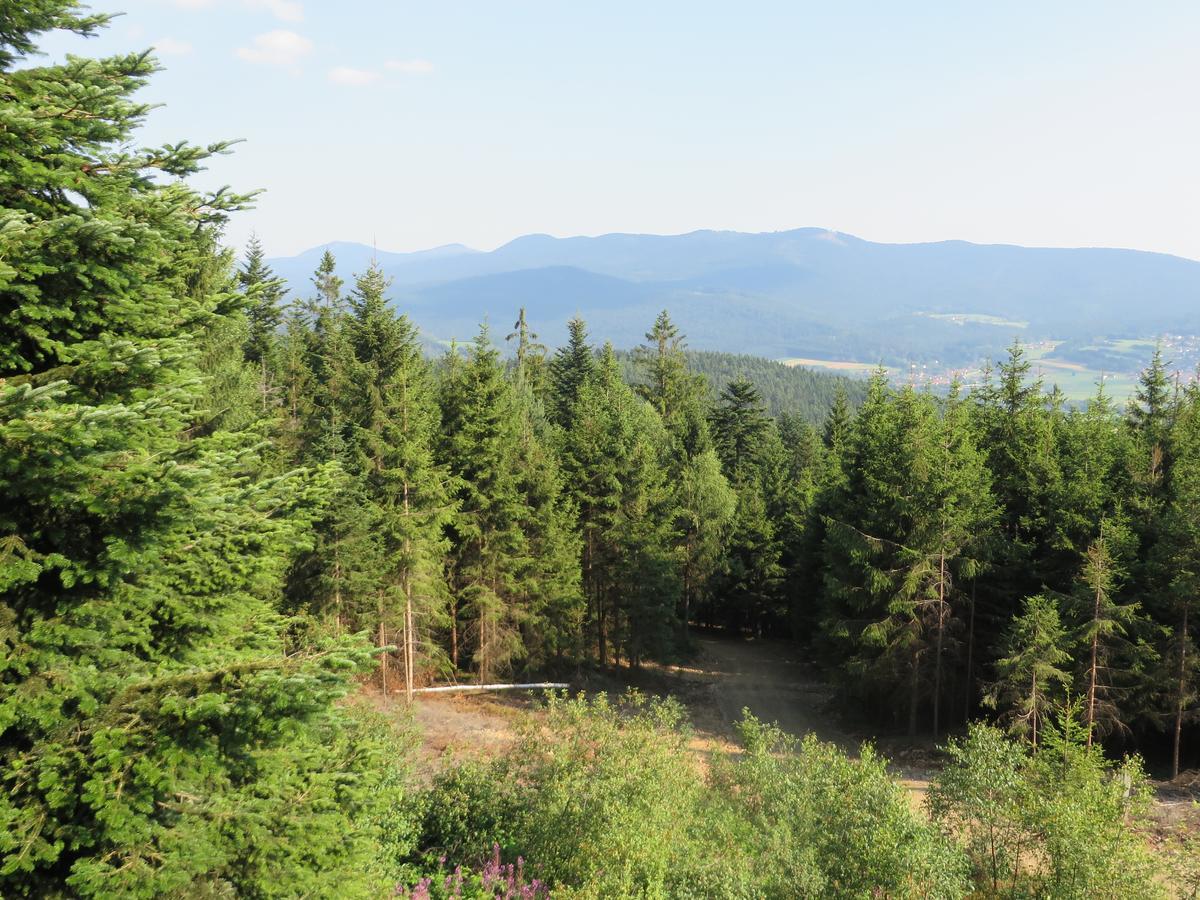 Отель Kolmsteiner Hof Нойкирхен-байм-Хайлиген-Блут Экстерьер фото