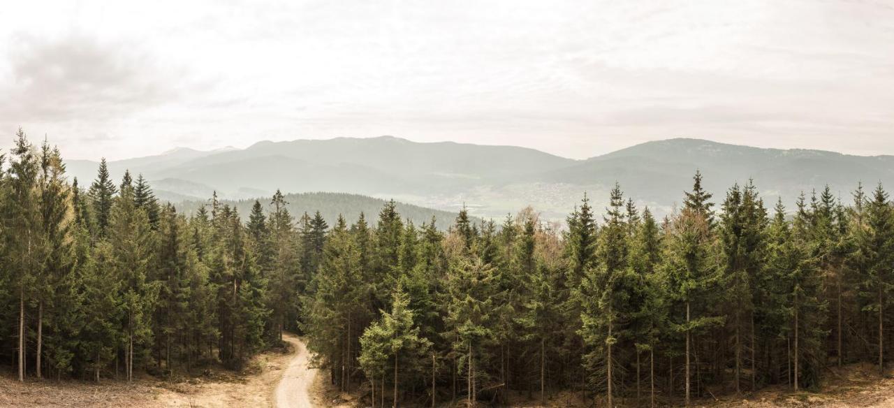 Отель Kolmsteiner Hof Нойкирхен-байм-Хайлиген-Блут Экстерьер фото